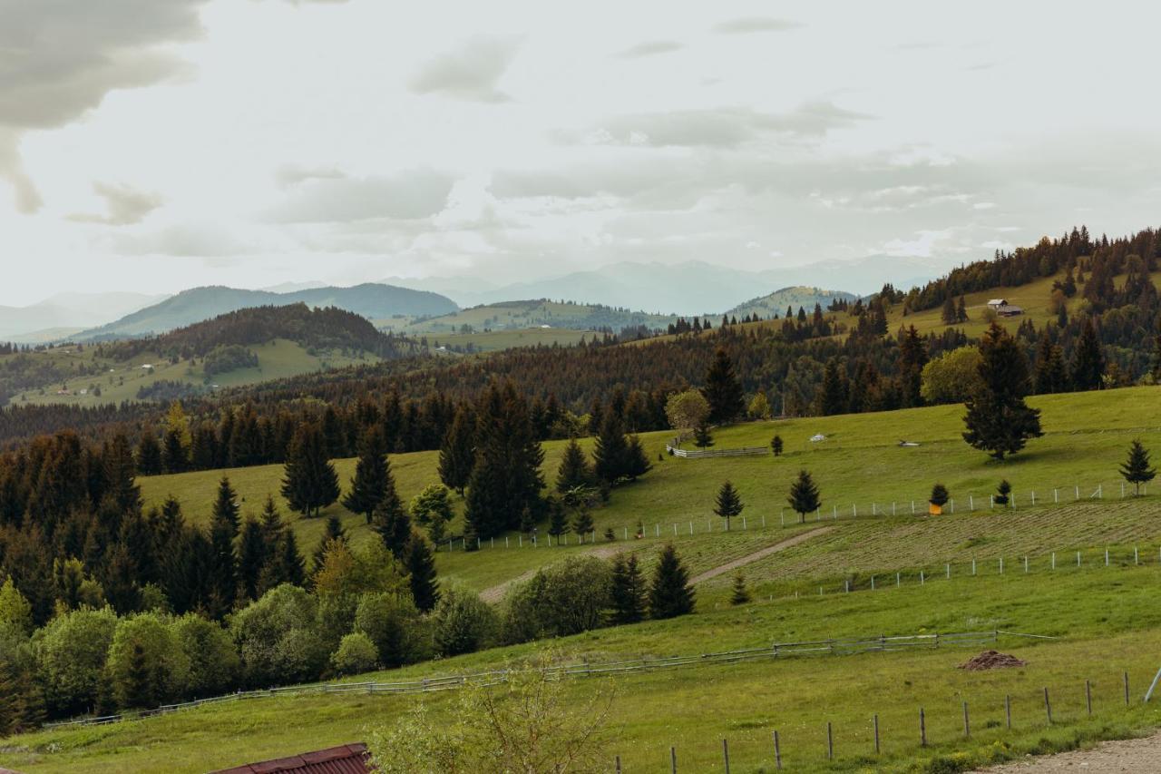 Popasul Transilvania Piatra Fantanele Εξωτερικό φωτογραφία
