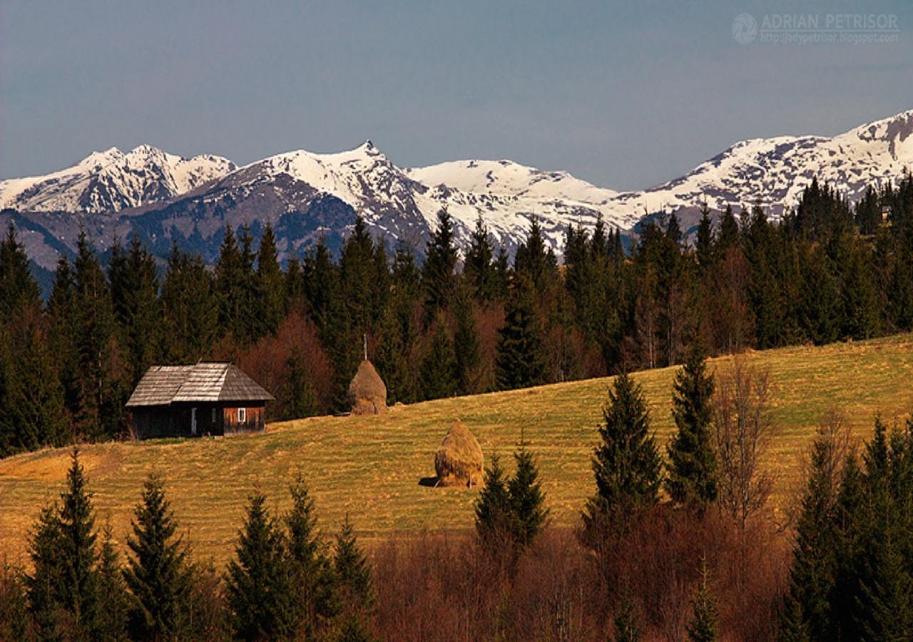 Popasul Transilvania Piatra Fantanele Εξωτερικό φωτογραφία