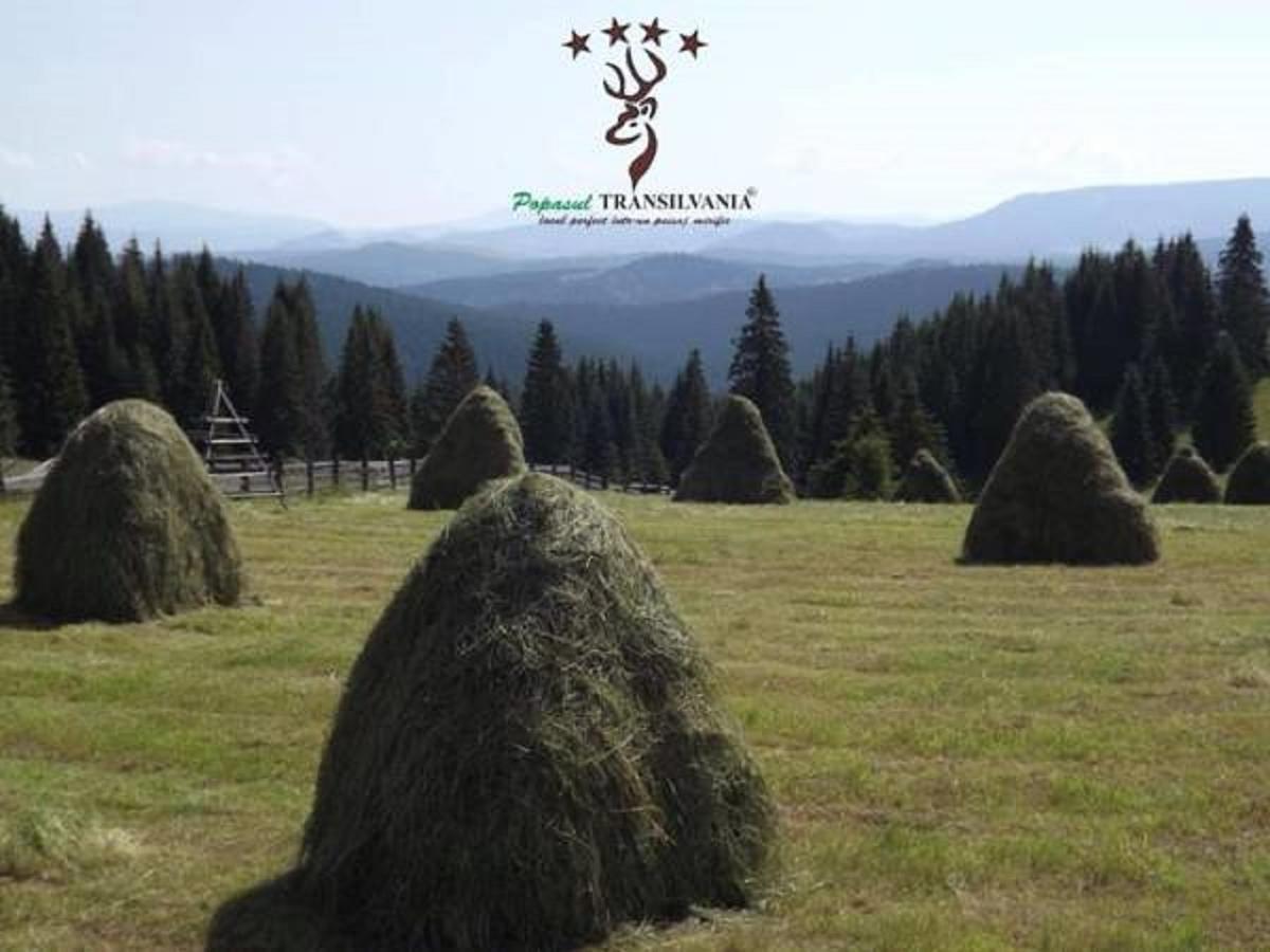 Popasul Transilvania Piatra Fantanele Εξωτερικό φωτογραφία